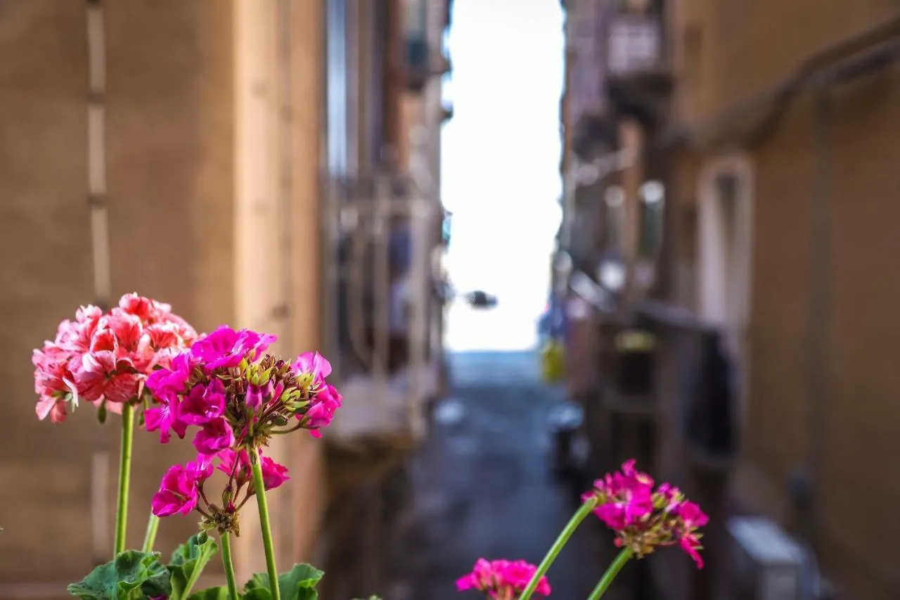 Greta House Apartment Trapani